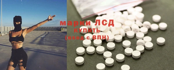 бошки Елабуга