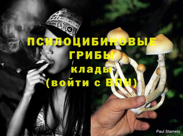 бошки Елабуга