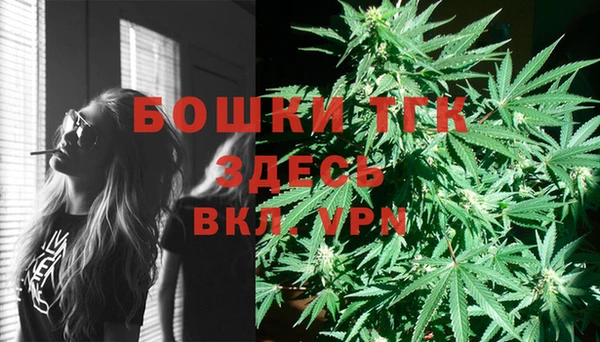 герыч Ельня