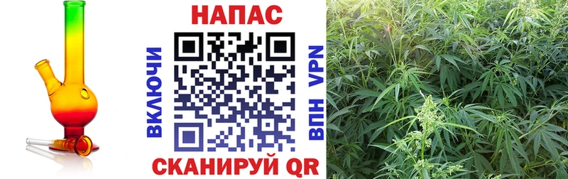 Купить  Отрадное  Марихуана VHQ 